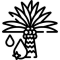 Oil Palm